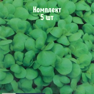 Комплект 5шт / Портулак огородный Восточная закуска